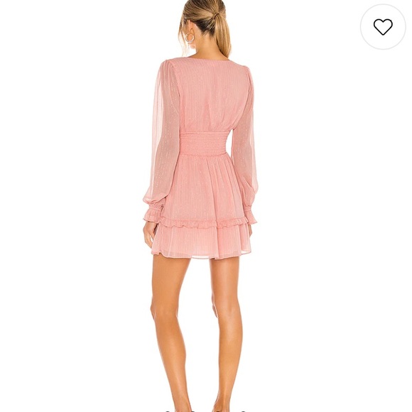 NWT Arline Dress in Pink - Picture 3 of 4